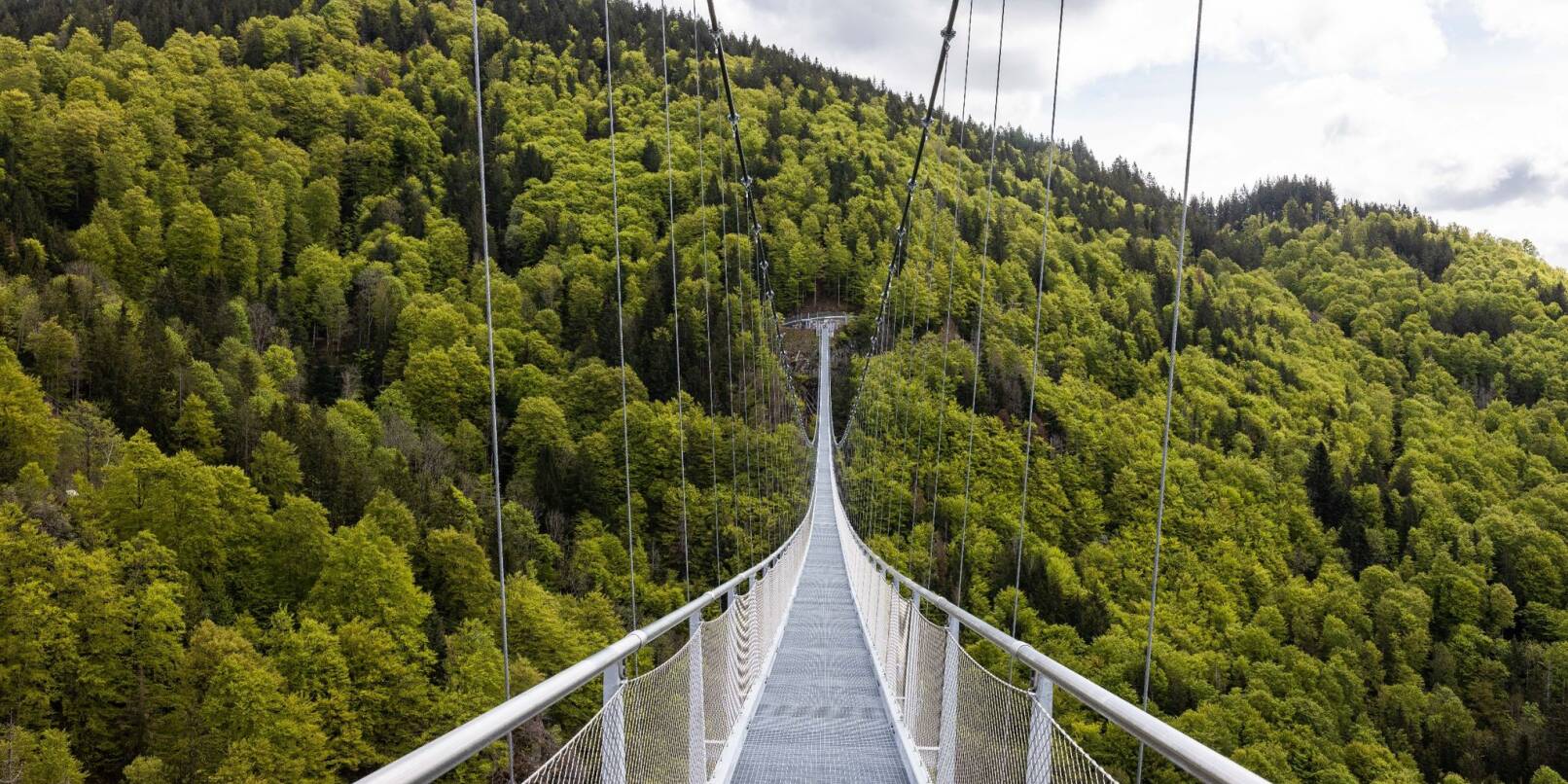 Eine Hängebrücke führt über ein Tal nahe Todtnauberg.