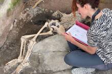 Drei Skelette in versunkener Römer-Stadt Pompeji entdeckt

