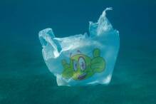 Lemke dringt auf starkes Abkommen gegen Plastikmüll im Meer
