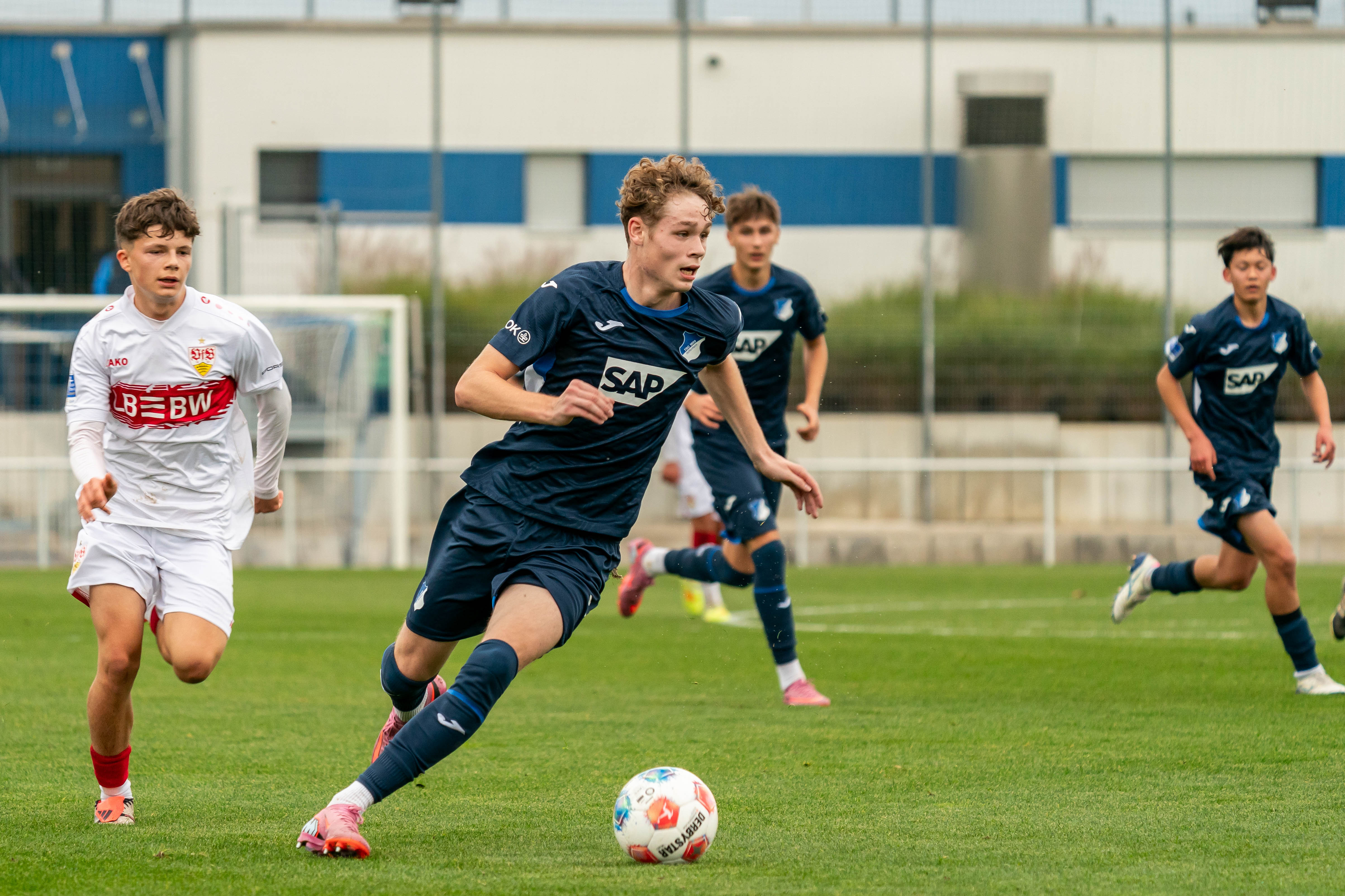 hoffenheim