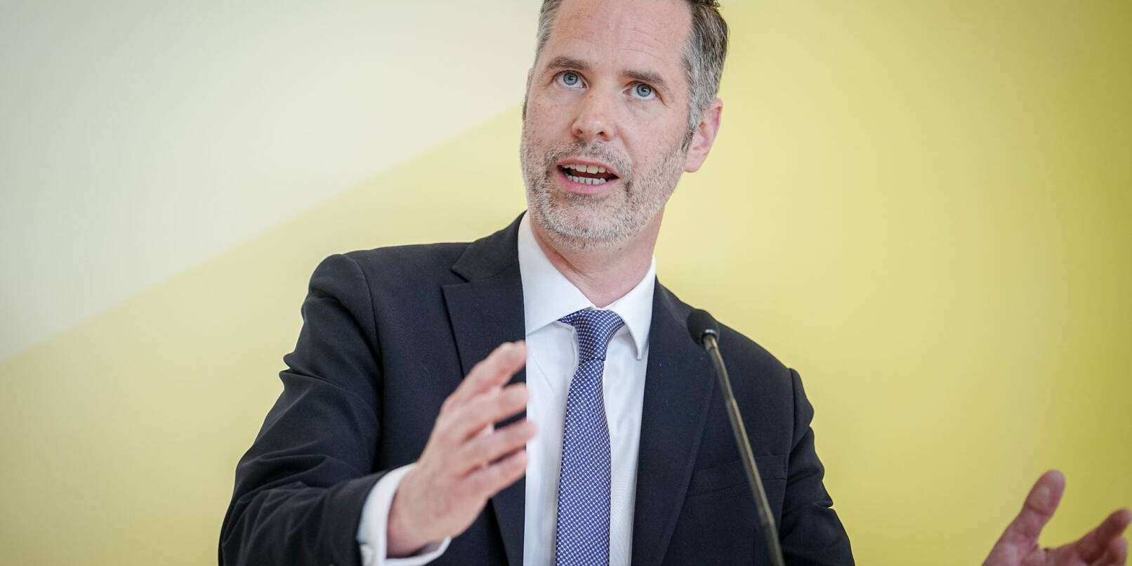 FDP-Fraktionschef Christian Dürr wirbt für Holz als klimaneutralen Brennstoff.