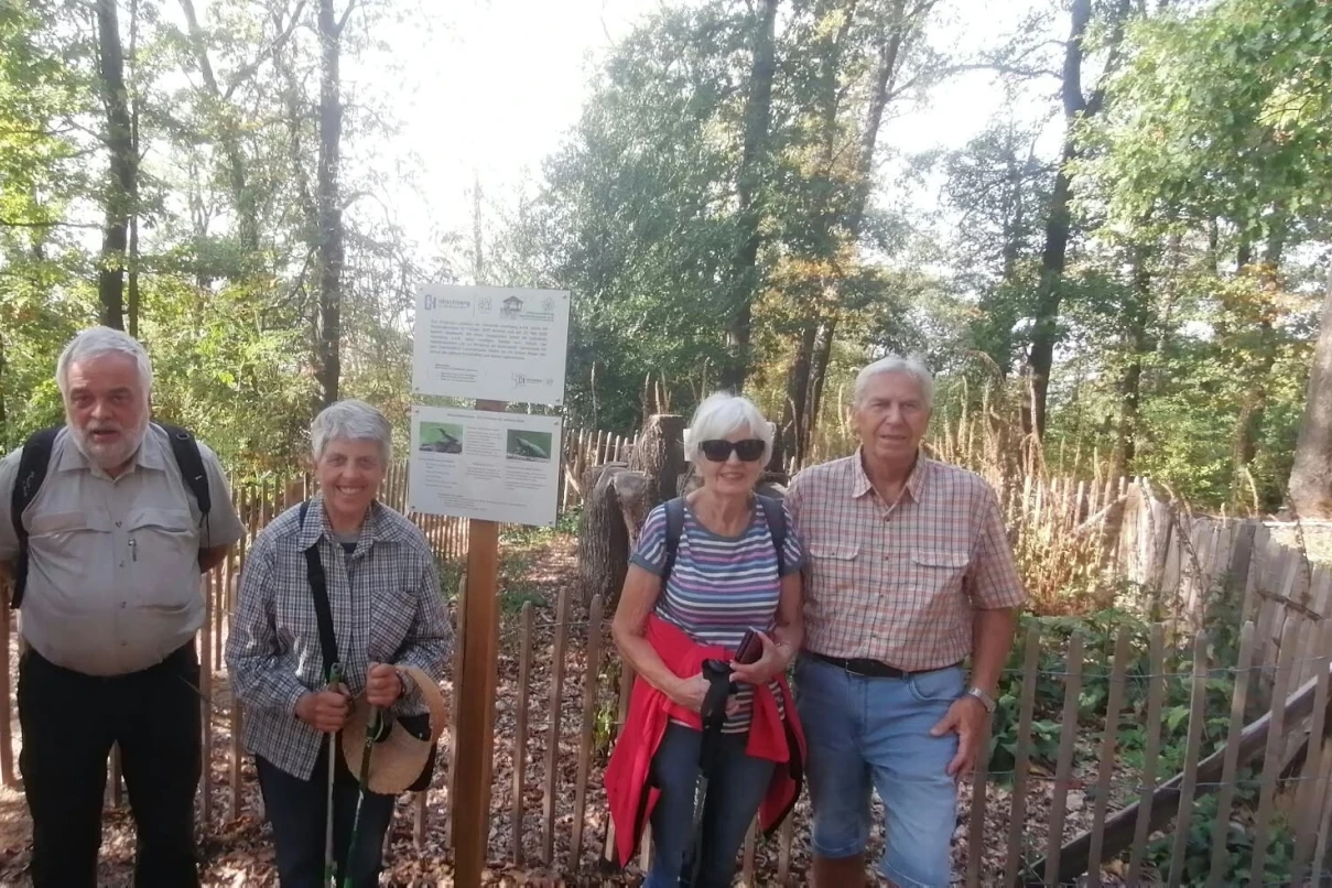 Hirschberg: What's behind the strange wooden structure in the forest?