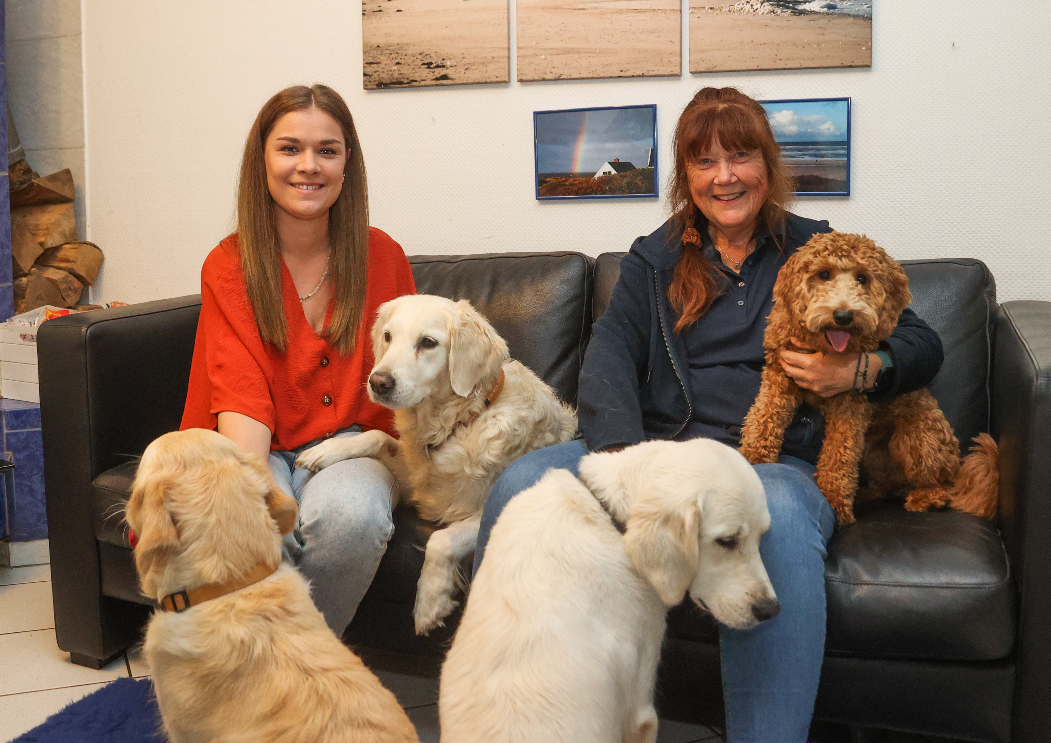 Golden-Retriever-Zucht in Birkenau: Christiane Gerhard lebt ihre große ...