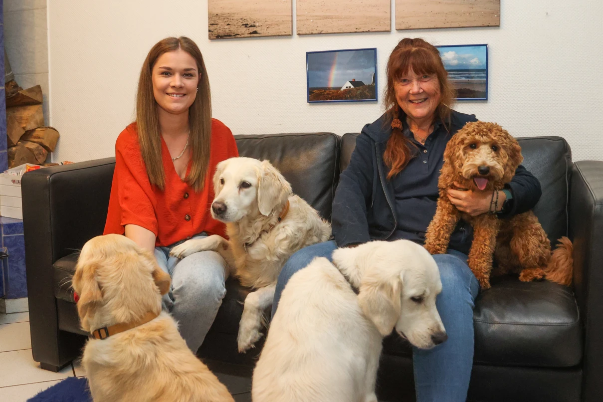 Golden-Retriever-Zucht in Birkenau: Christiane Gerhard lebt ihre große ...