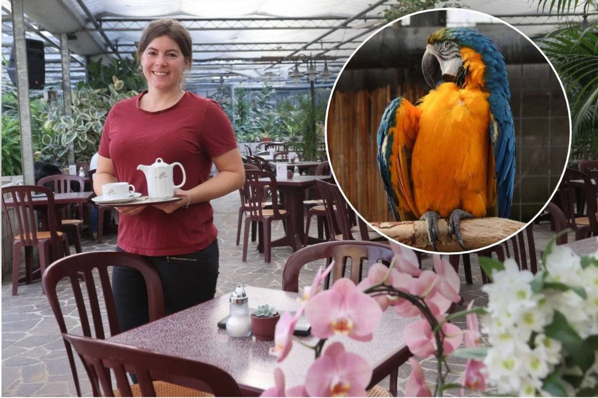 Café, nursery, and exotic animals: What makes Café Orchidee in Birkenau so ...