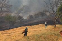 Zwei Hektar Wiese und Wald in Brand: Feuer gelöscht
