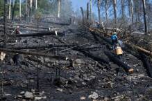 Waldbrand am Altkönig: Feuerwehreinsatz dauert an
