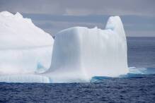 Umweltschützer: Schutzgebiete in der Antarktis ausweisen
