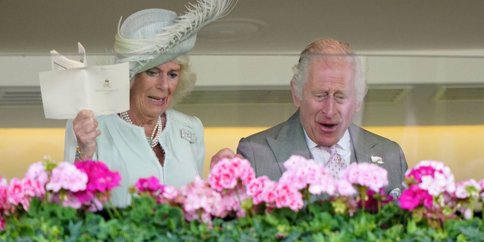 König Charles III. und Königin Camilla freuen sich über den Sieg von Desert Hero.