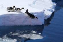 Bislang keine Einigung zu neuen Schutzgebiete in Antarktis
