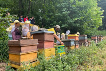 In Oberflockenbach summen ab jetzt die Bienen der Theodor-Heuss-Grundschule  In Oberflockenbach summen ab jetzt die Bienen der Theodor-Heuss-Grundschule