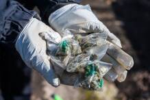 Ermittler finden 15 Kilo Cannabis in Kasseler Wohnung
