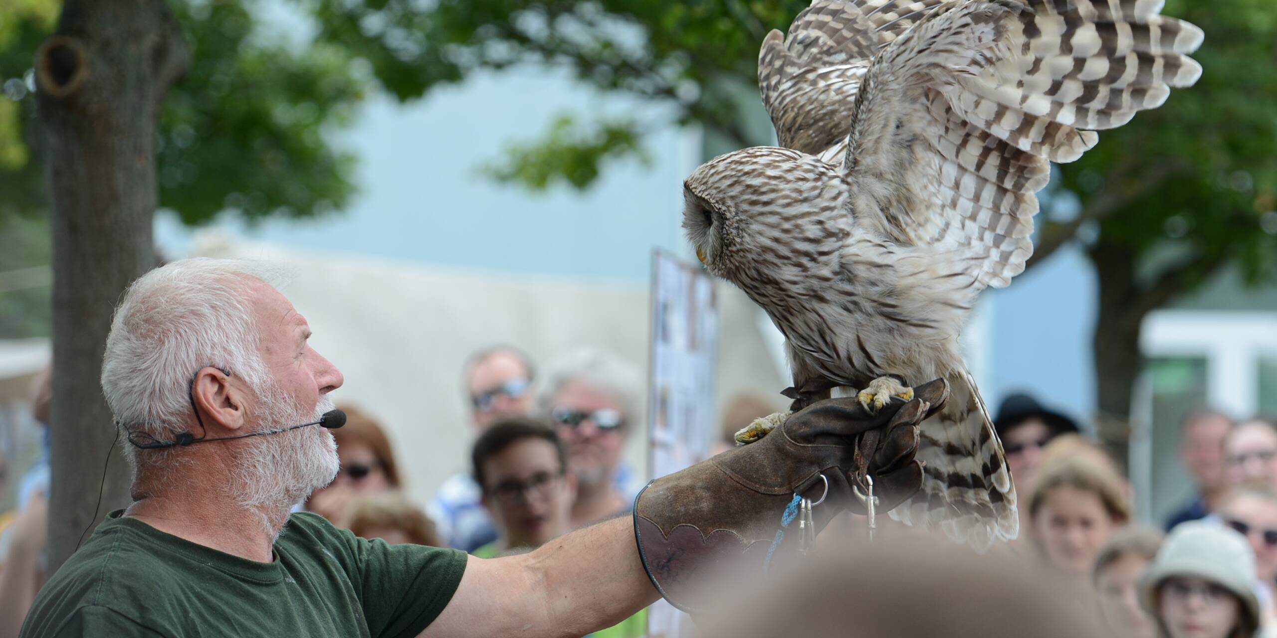 Im Jahr 2019 begeisterte Achim Häffner mit seiner Greifvogel-Schau die Besucher.
