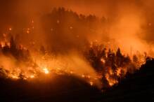 Extreme Trockenheit begünstigt Waldbrand in der Schweiz 
