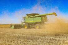 Ukrainisches Getreide: Selenskyj kritisiert EU-Importverbot
