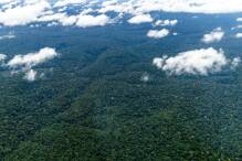 Regenwald: Nasa will Zusammenarbeit mit Brasilien erweitern
