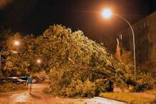 Gewittersturm entwurzelt dicke Bäume in Brandenburg
