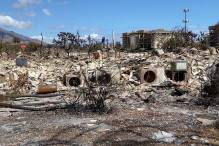 Mehr als 100 Tote nach Bränden auf Maui 
