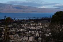 110 Tote nach Bränden auf Maui: Suche nach Opfern dauert an 

