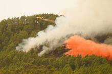 Waldbrand auf Teneriffa breitet sich langsamer aus
