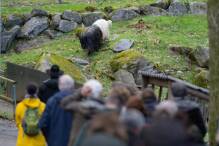 Tierischer Saisonstart beim Bergtierpark Erlenbach 