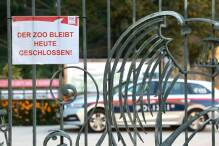 Nashorn tötet deutsche Pflegerin im Zoo Salzburg
