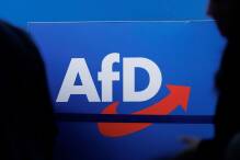 Umfrage: AfD in Brandenburg vor allen anderen Parteien

