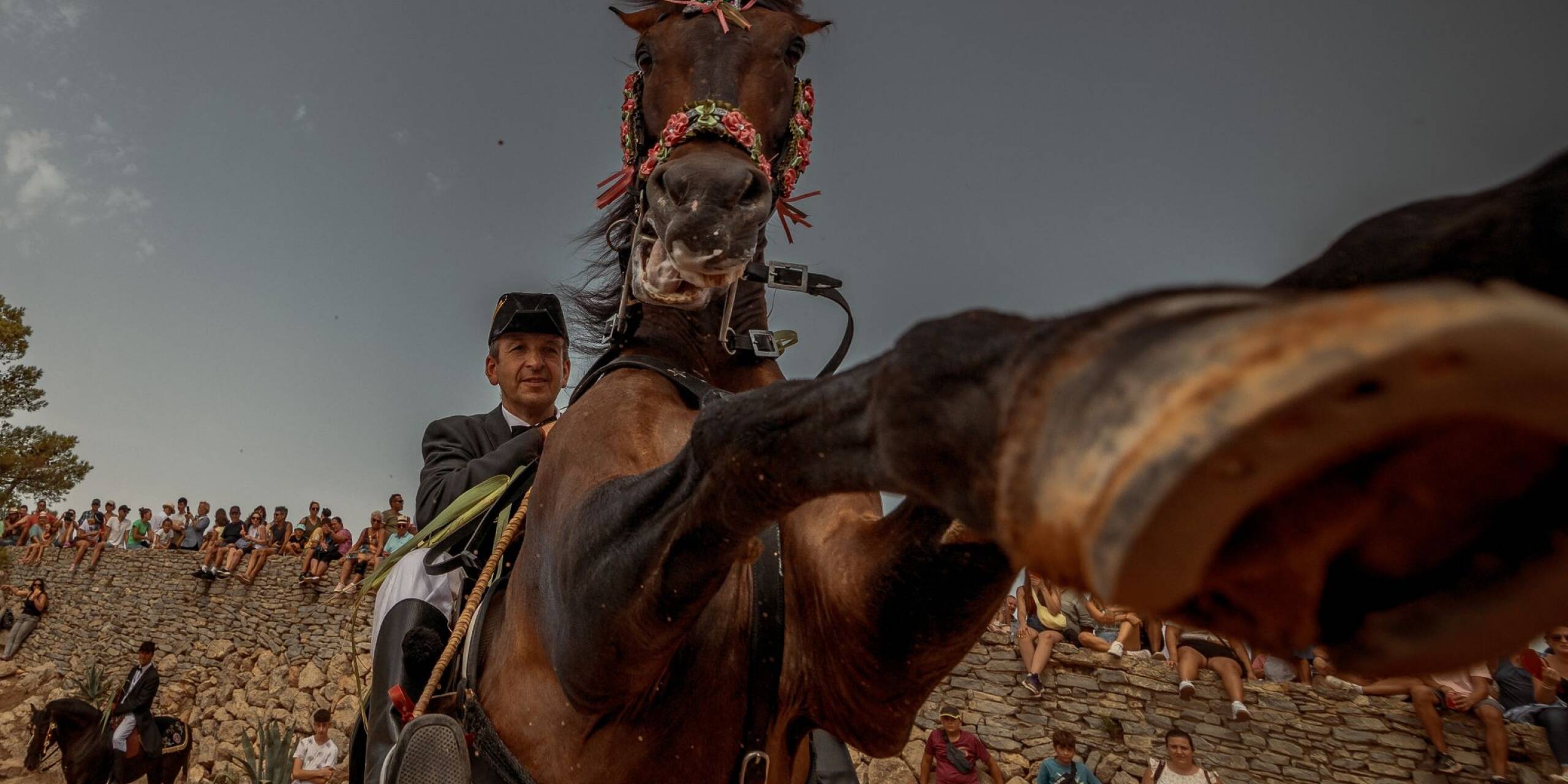 Beim Sant Nicholas Festival im spanischen Es Mercadal auf Menorca nimmt ein «Caixer» (Reiter) mit seinem Pferd am traditionellen «Jaleo» teil.