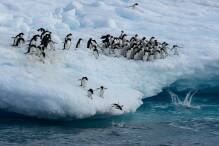 Ist die Antarktis noch zu retten?
