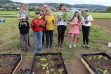 Urban Gardening: Projekt für mehr Biodiversität in Weinheim
