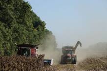 Ukrainische Bauern bleiben auf der Ernte sitzen
