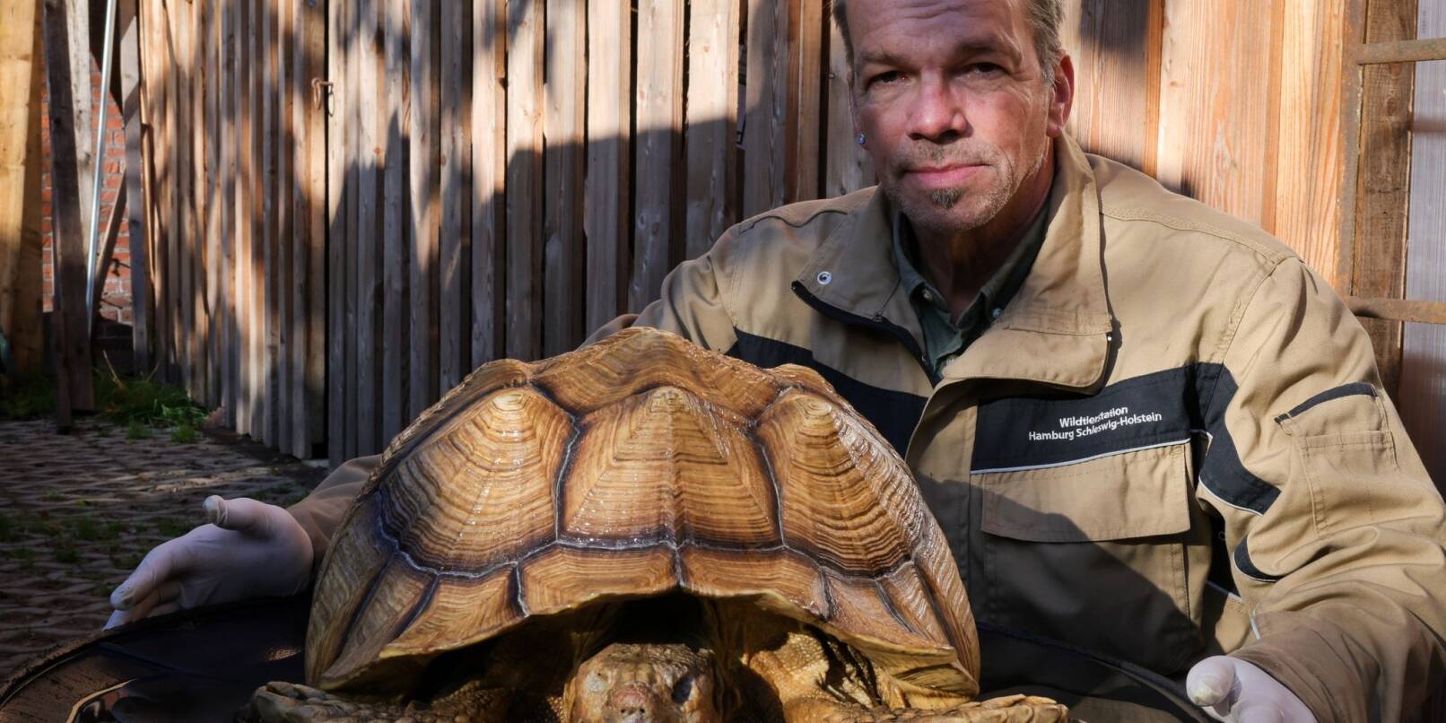 Christian Erdmann, Leiter des Wildtier- und Artenschutzzentrum bei Elmshorn, neben der toten Riesenschildkröte.