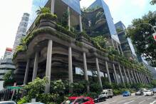Wie Singapur zur grünen Stadt wurde
