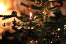 Trotz Inflation: Preise für Weihnachtsbäume in Hessen stabil
