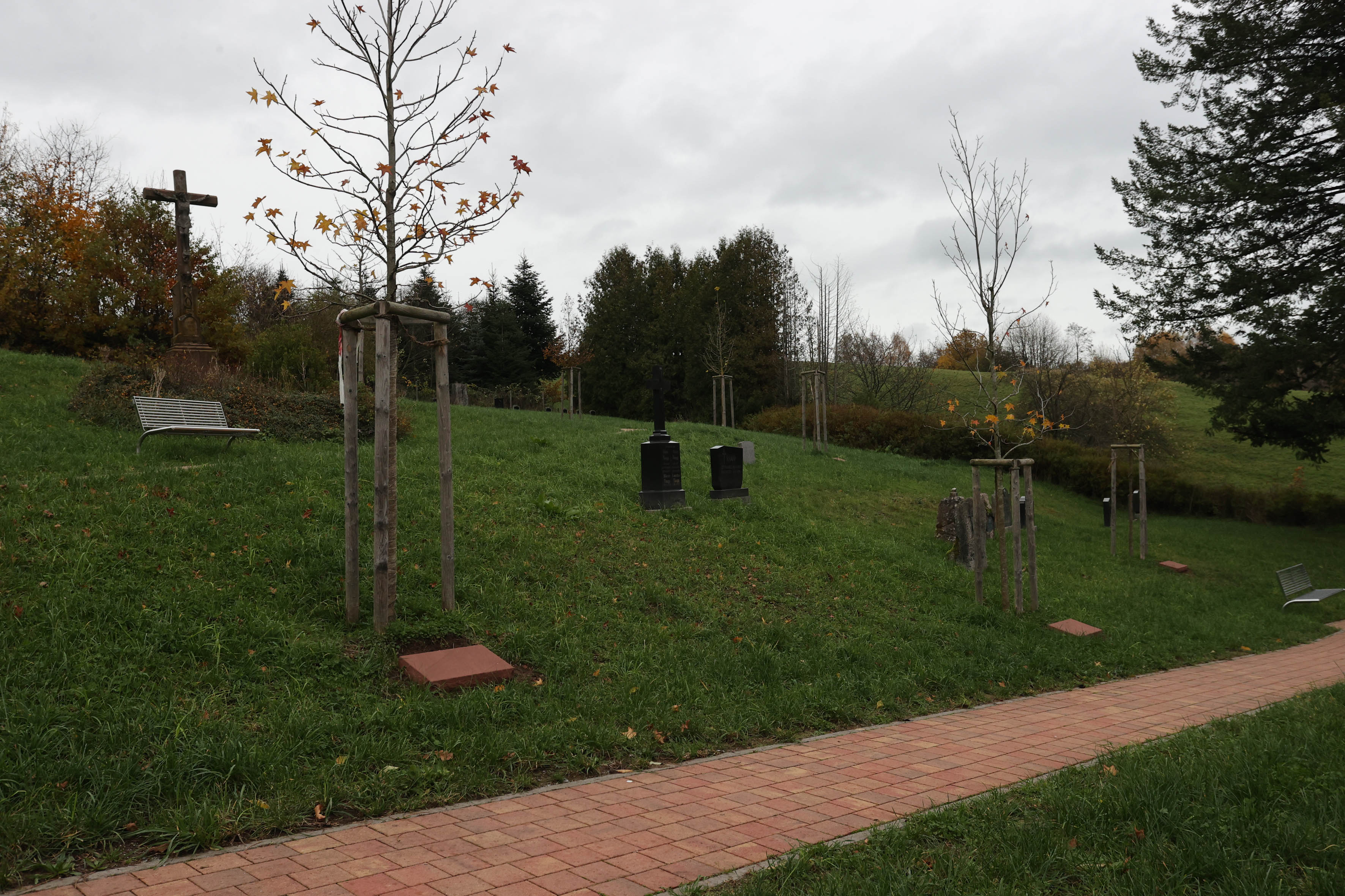 Was Hilft Gegen Wühlmäuse Auf Dem Friedhof