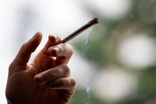 Wann kommt die Cannabis-Legalisierung?
