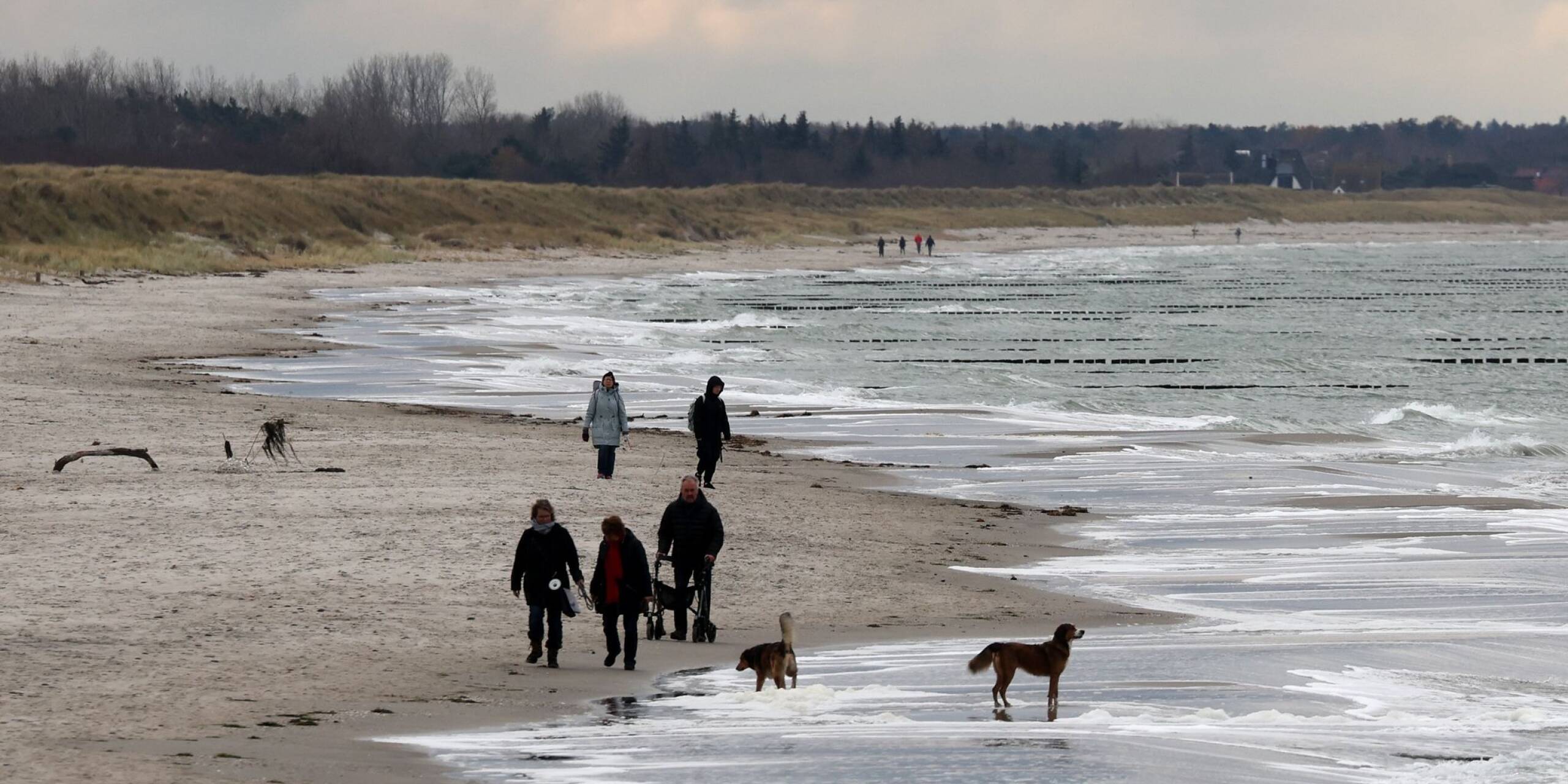 Spätherbst an der Ostsee: Spaziergänger sind auf der Halbinsel Fischland (Mecklenburg-Vorpommern) unterwegs.
