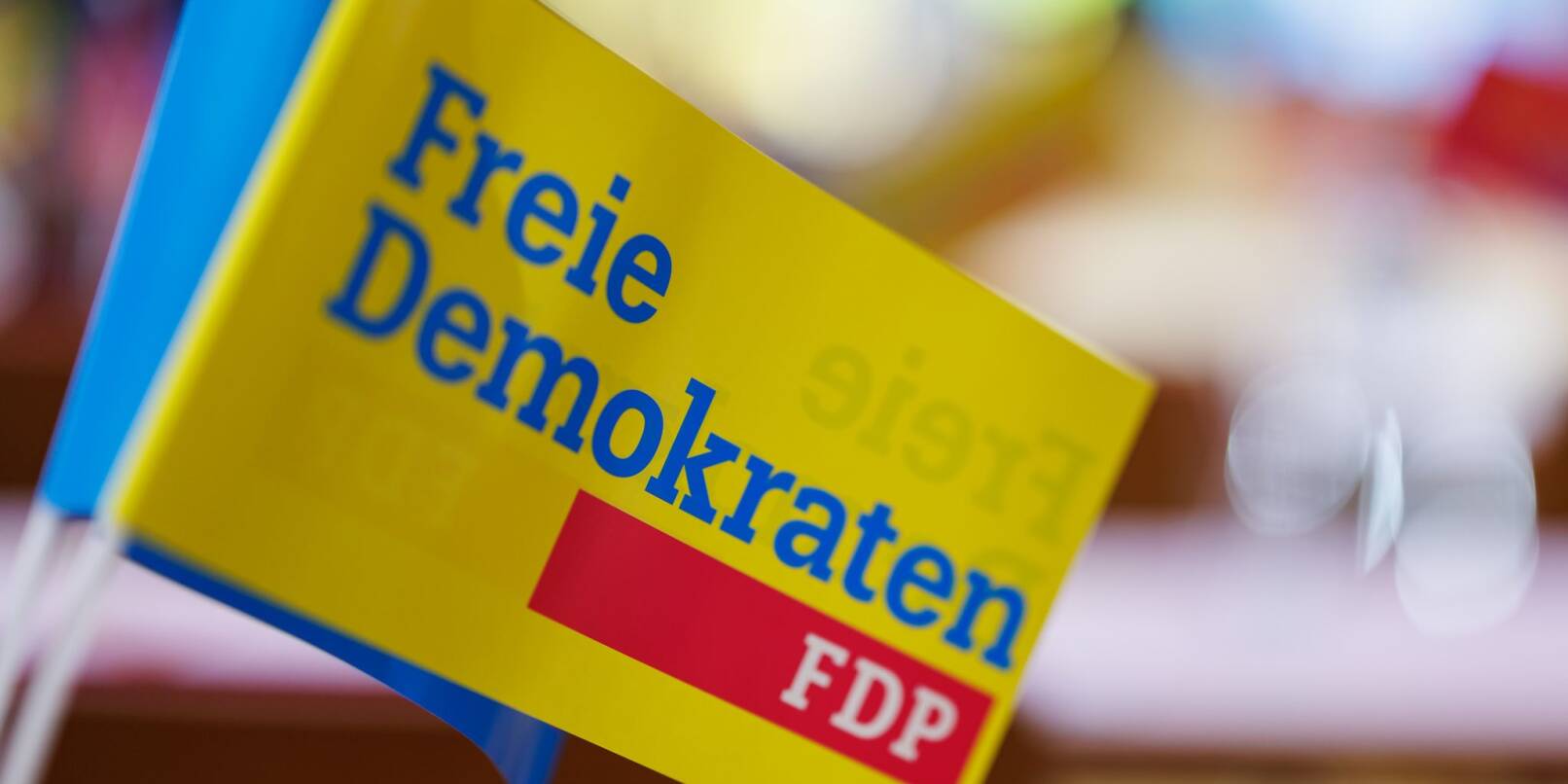 Der Fragetext der bundesweiten Befragung soll lauten: «Soll die FDP die Koalition mit SPD und Grünen als Teil der Bundesregierung beenden?»