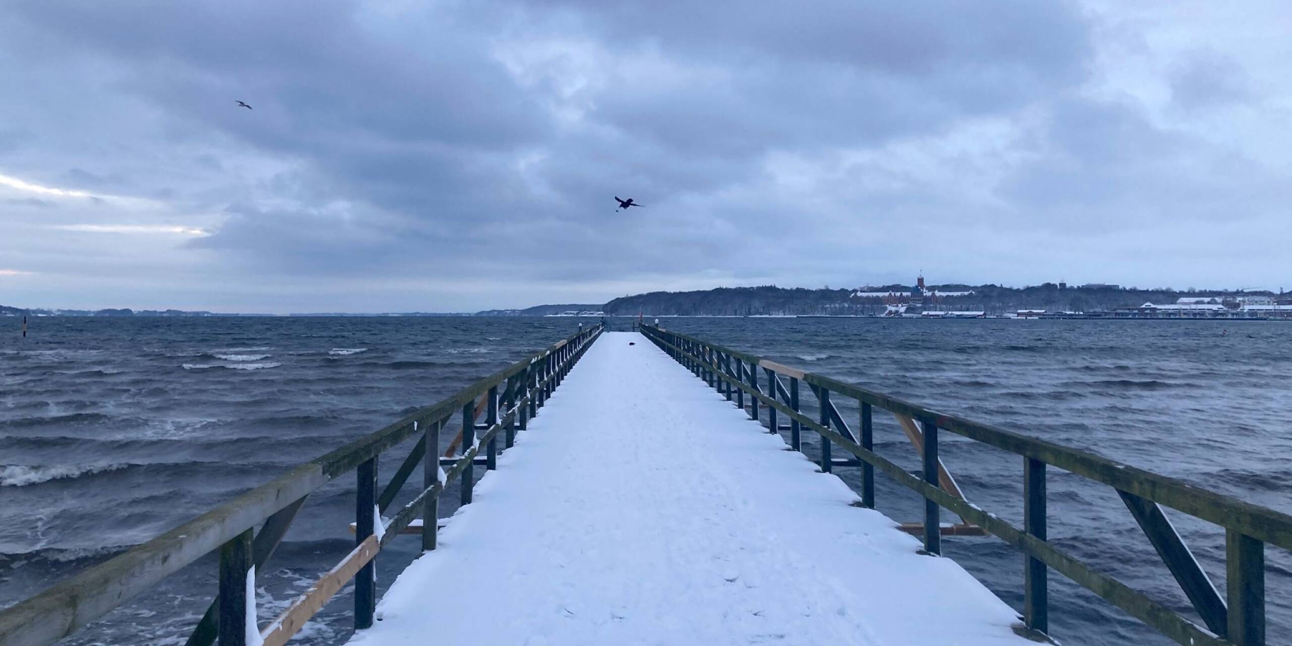 Raues Meer, Möwen im kalten Wind und ein verschneiter Steg am Strand Ostseebad im Norden von Flensburg.