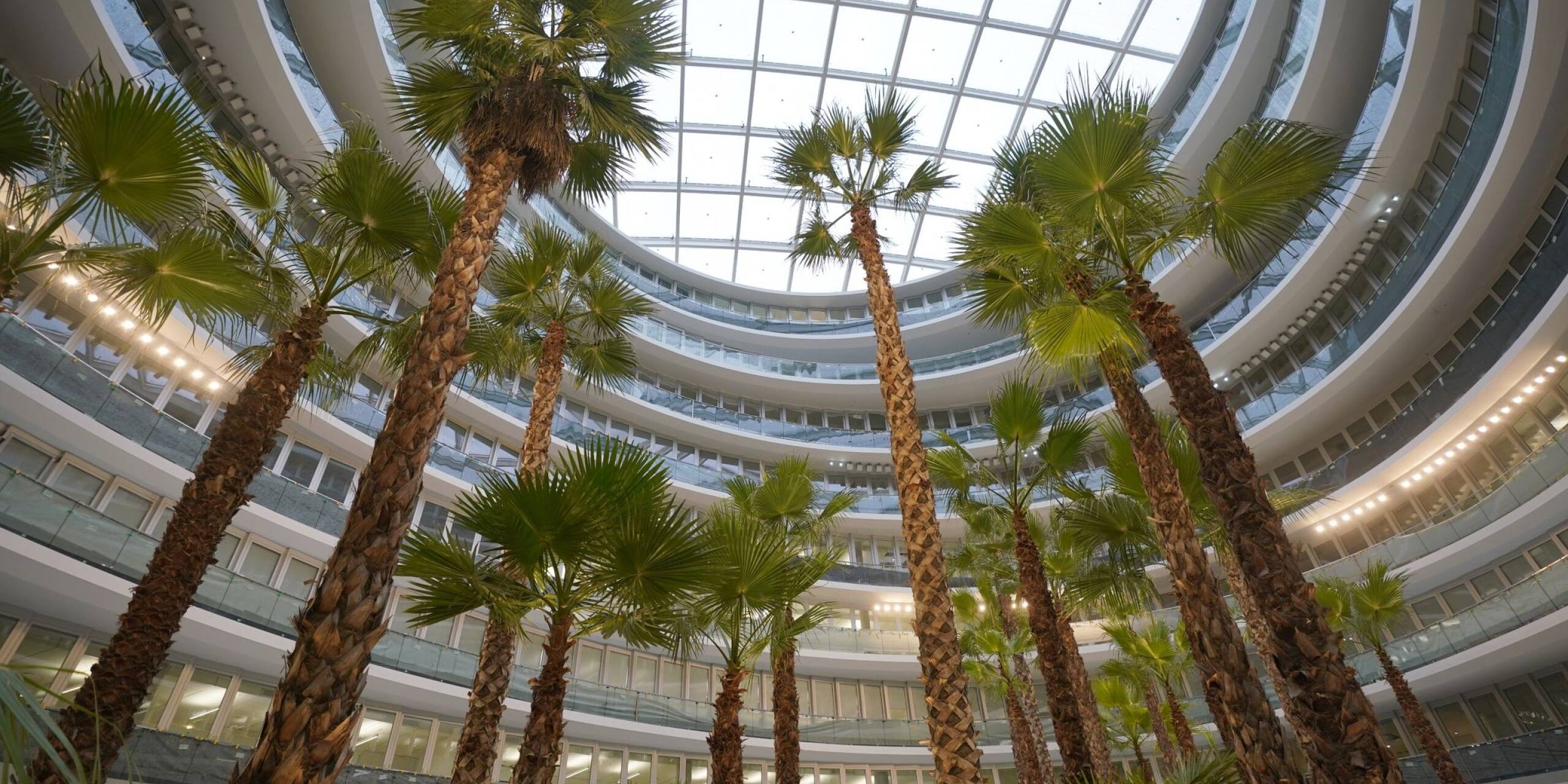 Hoch ragen die Palmen im Deutschlandhaus in Hamburg in die Höhe: Das Gebäude soll im Dezember an den größten dort einziehenden Mieter Haspa übergeben werden.