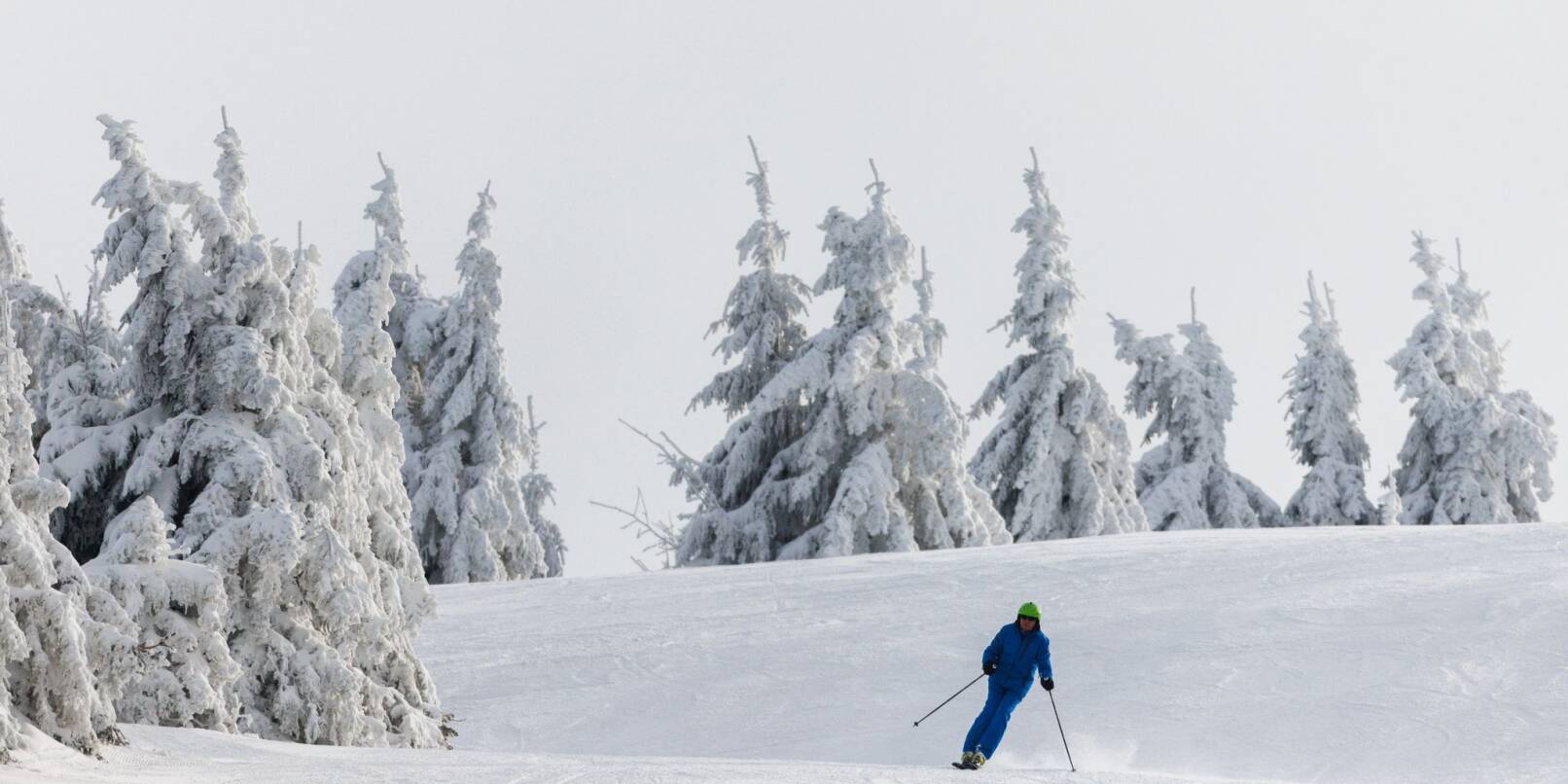 Ein Wintersportler fährt auf Skiern eine Piste hinunter.