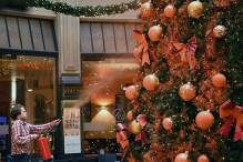 Klimaschützer besprühen Weihnachtsbäume mit oranger Farbe
