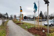 Stadt Hemsbach pflanzt 65 Bäume zur Klimaanpassung
