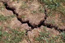 Experten fordern mehr Schutz von Böden
