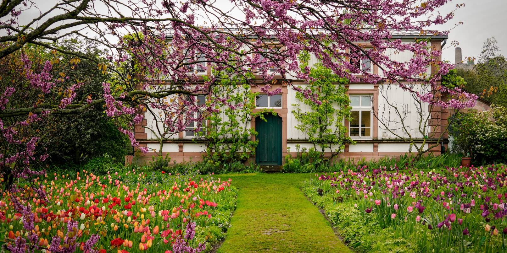 Der Schau- und Sichtungsgarten Hermannshof gehört laut dem Magazin GEO zu den zwölf schönsten Gärten der Welt.