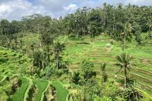 Sorge auf Bali: Indonesien erhöht die Vergnügungssteuer 
