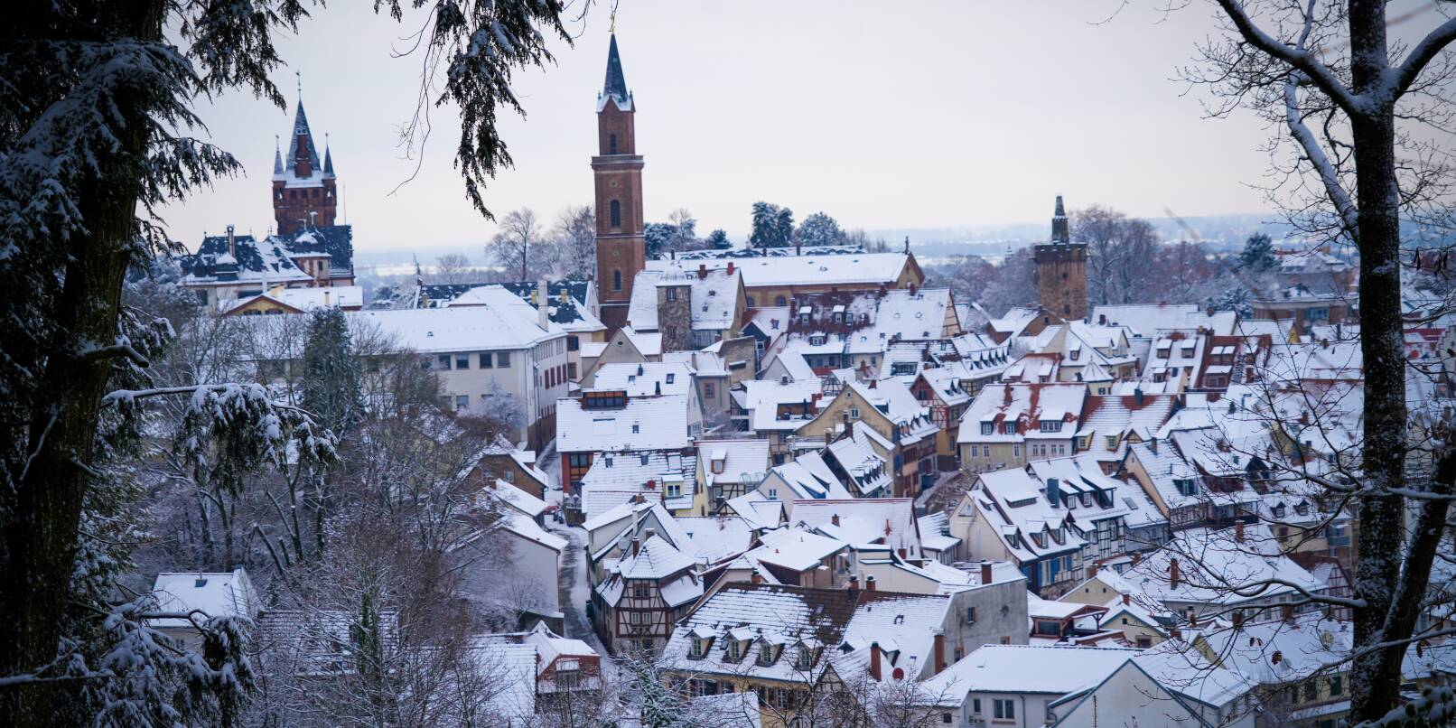 Weinheim ist schön - und Wohnraum entsprechend knapp. Weinheim ist schön - und Wohnraum entsprechend knapp.