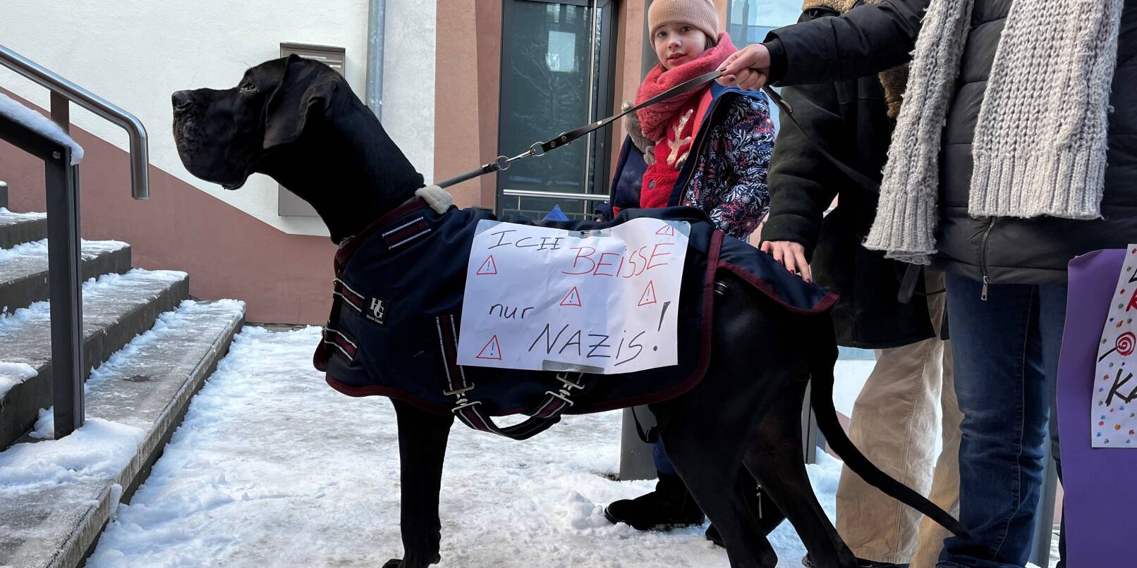 Demonstrantin auf vier Pfoten: "Ich beiße nur Nazis" steht auf einem Plakat, das Dogge Wilma an ihrem Hundemantel trägt.