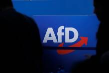 NPD-Urteil Blaupause für AfD? - Politiker für Prüfung
