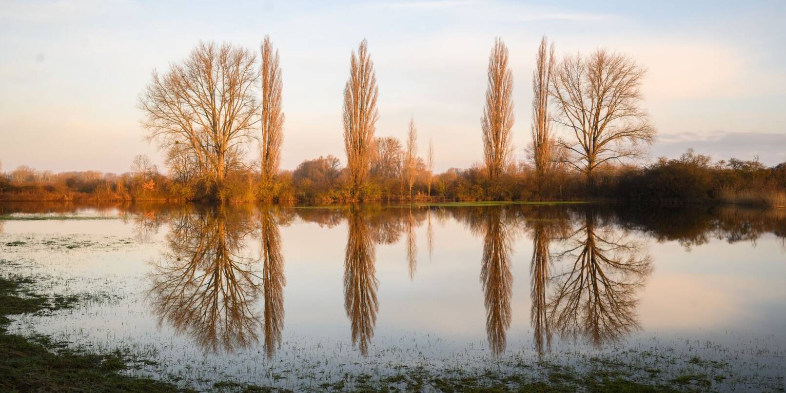 Bäumen spiegeln sich in vom Hochwasser überfluteten Feldern in der Leinemasch im Süden von Hannover.